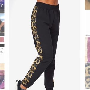 Leopard Goals Windbreaker Pant by Terez - Small